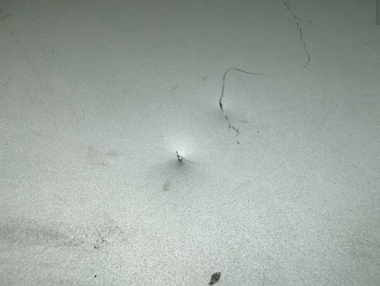 HP Elitebook 860 G10 16" Laptop Intel i7-1360P@2.2GHz 16GB 256GB w/AC *READ*