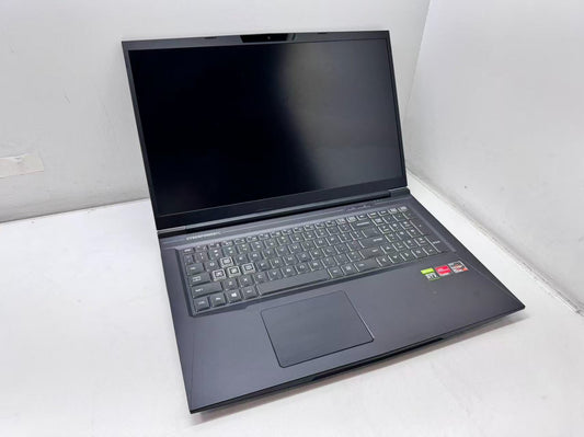 Cyberpower GK7NR0R AMD Ryzen 7 4800H@2.9GHz 32G 1TB RTX 2060 *READ*