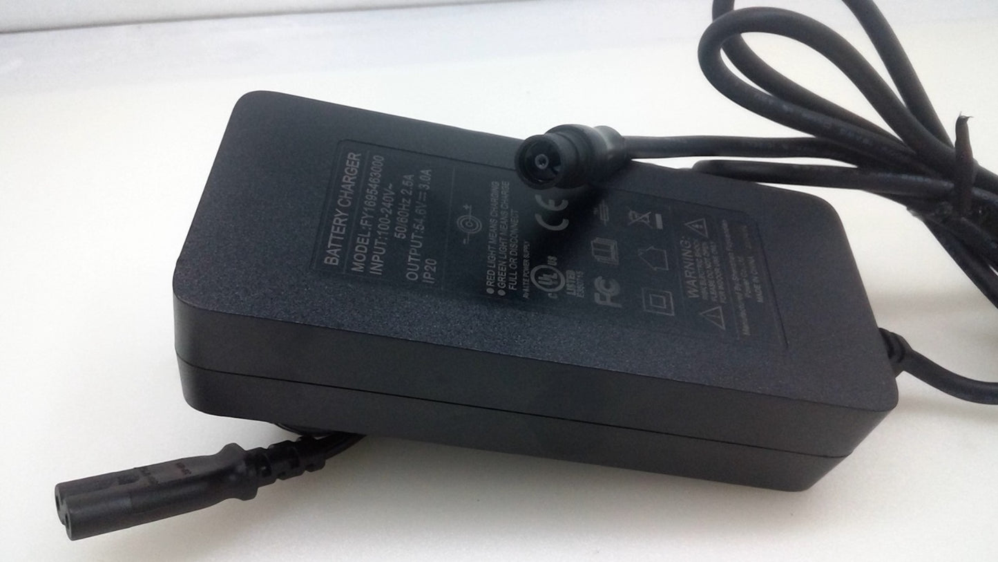 OEM AC Adapter Model: FY1695463000 54.6V 3A ShanZhen Fuyuandian Battery charger
