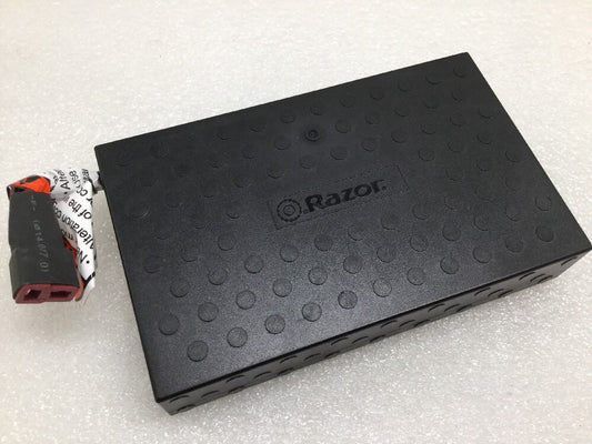 GLW GR2247 RS2202 Battery 21.9V for Razor RipStik Electric Caster Board Scooter