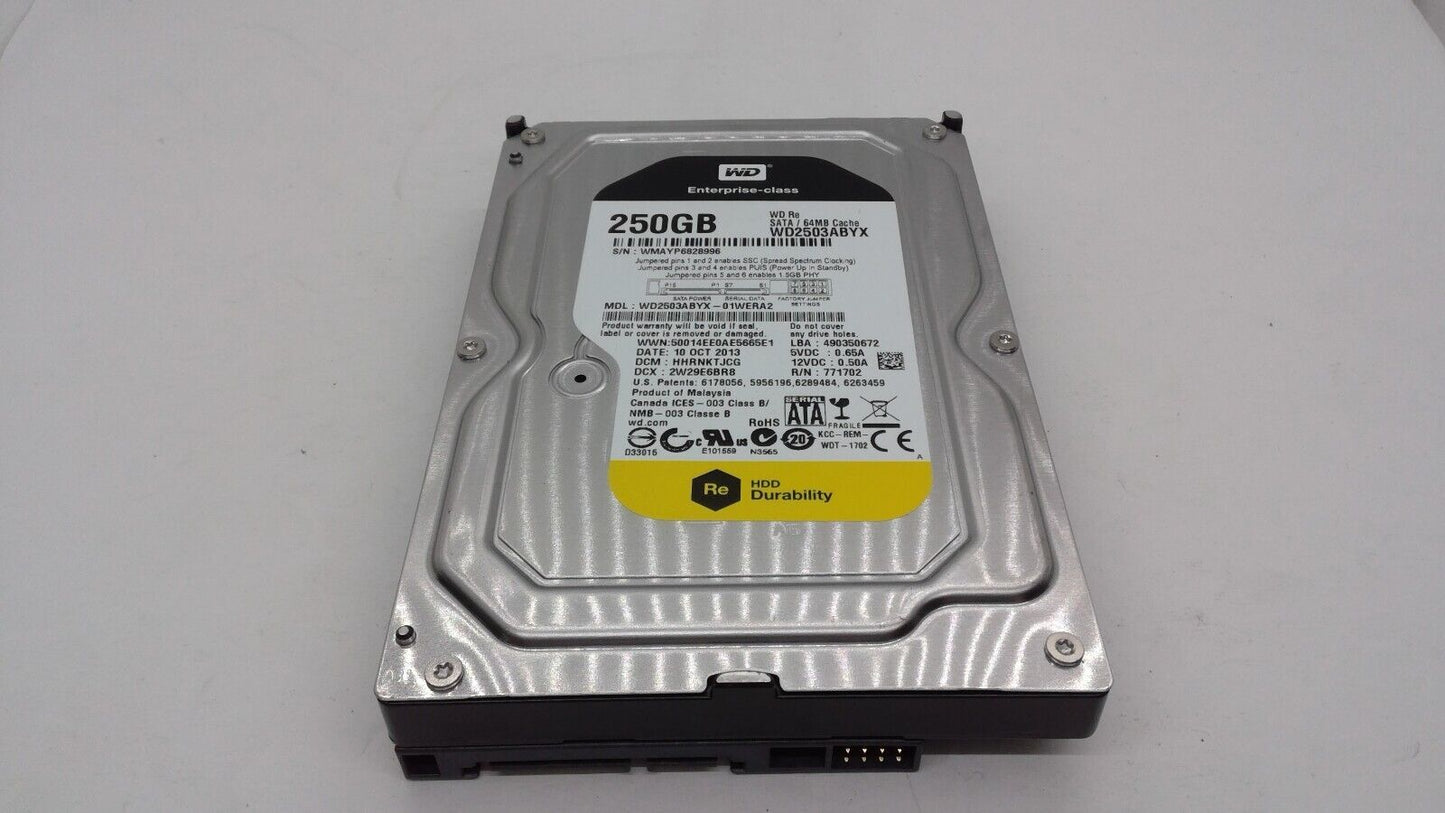 WD RE3 WD2502ABYS-02B7A0 DCM:HGNNNT2CGN 250GB SATA 3.5" HDD